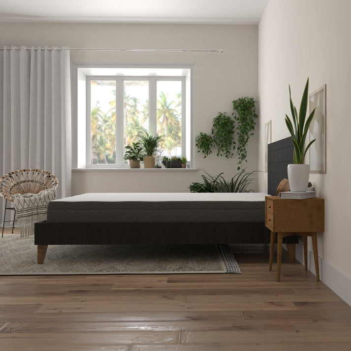 Majestic Sleep Systems -  8” Daisy Firm Gel - Infused Memory Foam Mattress