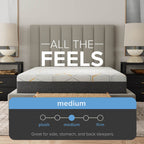Joe Knows Sleep  - 12" Copper - Medium Firm Mattress
