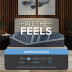 Mattress with 'All the Feels' text and medium-plush description in a bedroom setting.