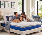 A family of four and a golden retriever dog relax on a Nautica mattress in a bright, modern bedroom. The mattress features a white top section and a blue quilted side panel with the Nautica brand name visible in white text.