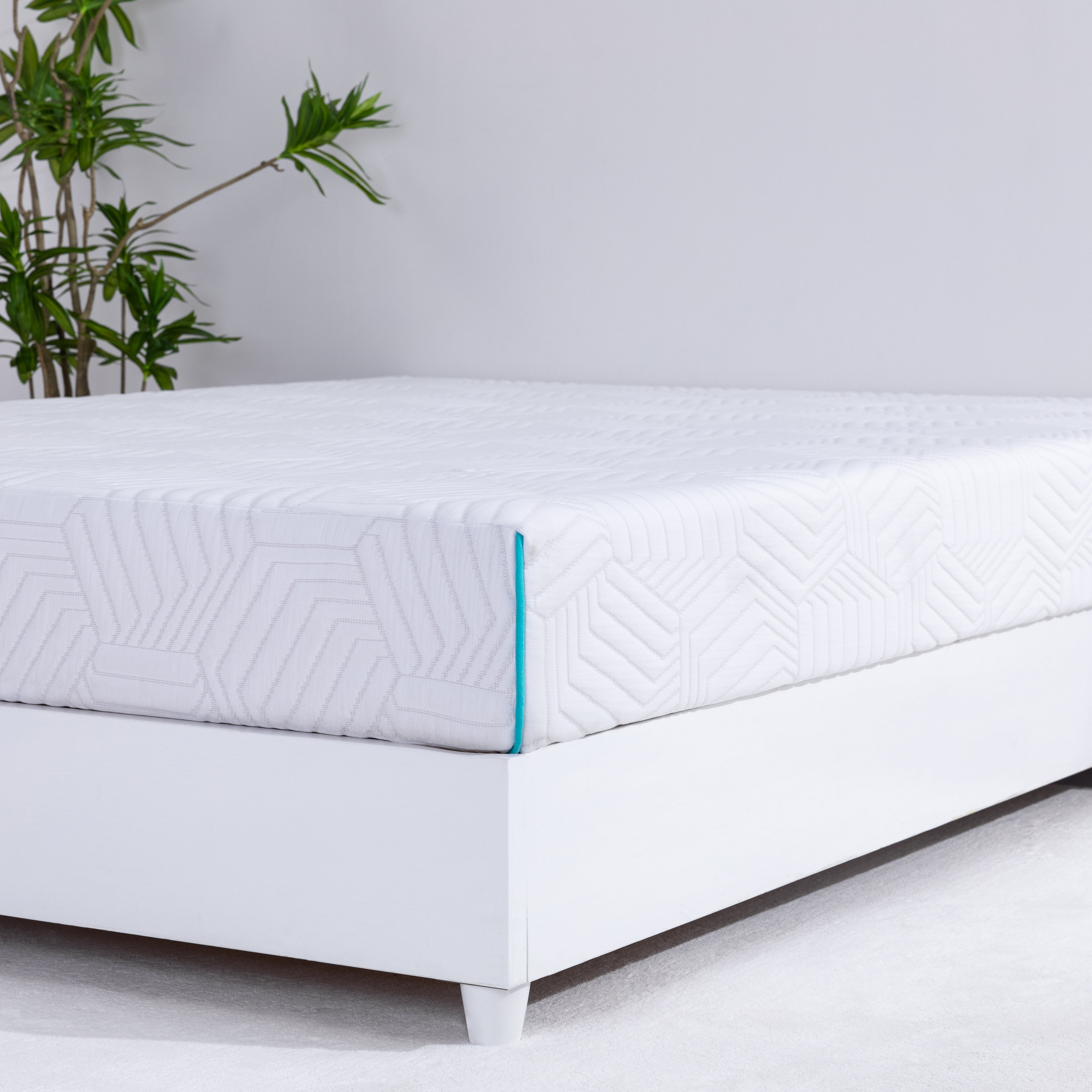 MLILY- Essential Plus 8" Memory Foam Mattress