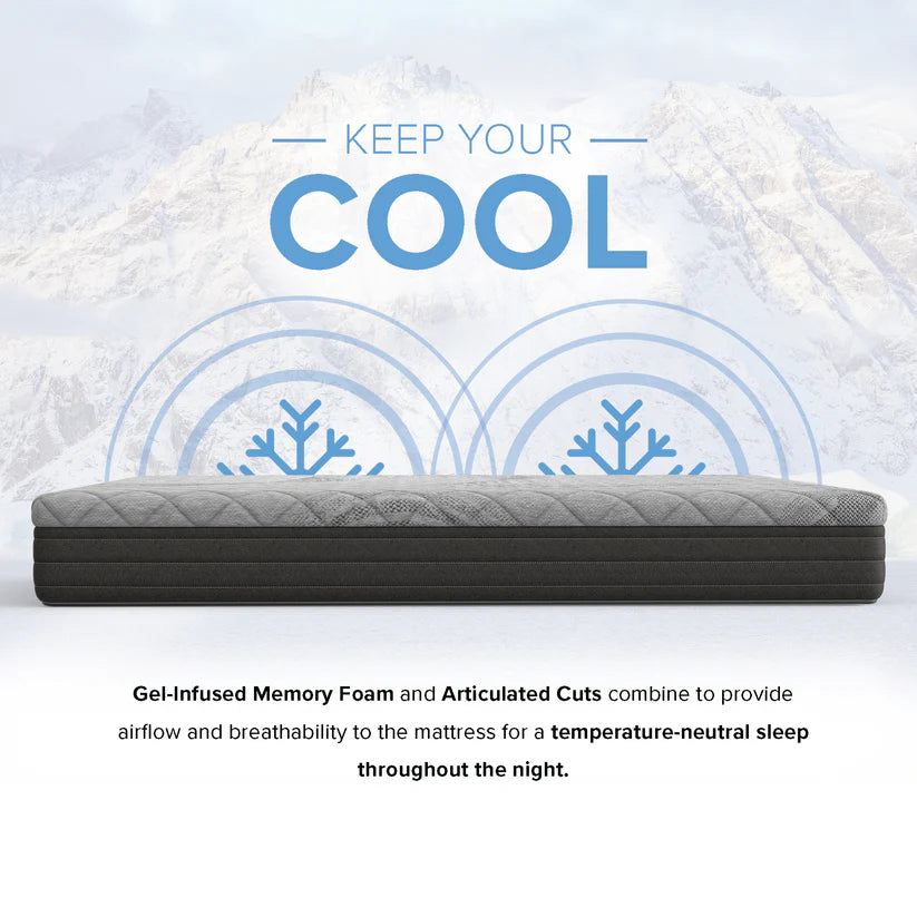 10” Essentials Comfort Reactive - Medium Firm Mattress  - Majestic Sleep Systems