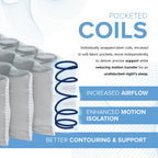 Advertisement for pocketed coils with mattress spring illustration and text on a white background
