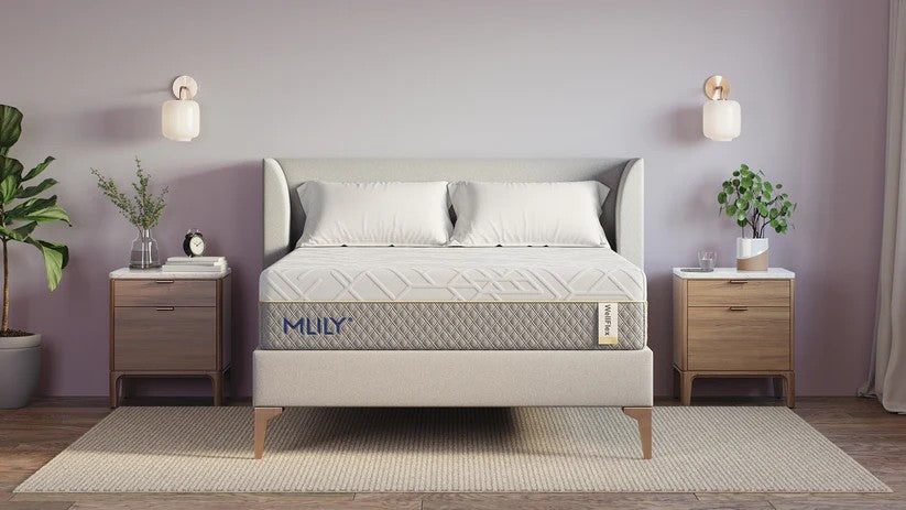 MLILY - WellFlex 1.0 12" Mattress