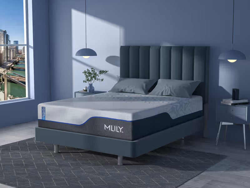 MLILY - ChiroPro 1.0 Firmer - 13" Mattress