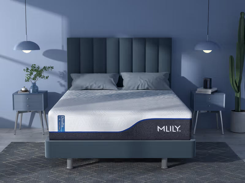 MLILY - ChiroPro 1.0 Firmer - 13" Mattress