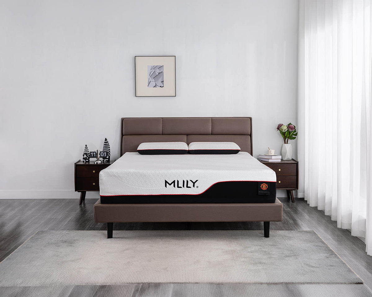 A modern bed frame with a brown upholstered headboard and footboard, styled in a minimalist bedroom setting. The mattress is covered with a white mattress topper featuring the brand name 'MILY.